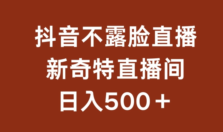 不露脸挂机直播，新奇特直播间，日入500+-飓风网创资源站