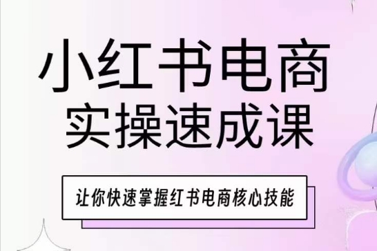 小红书电商实操速成课，让你快速掌握红书电商核心技能-飓风网创资源站