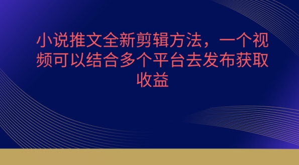 小说推文全新剪辑方法，一个视频可以结合多个平台去发布获取-飓风网创资源站