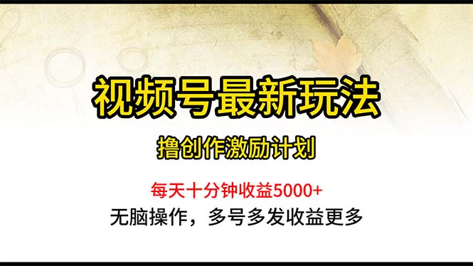 （10591期）视频号最新玩法，每日一小时月入5000+-飓风网创资源站