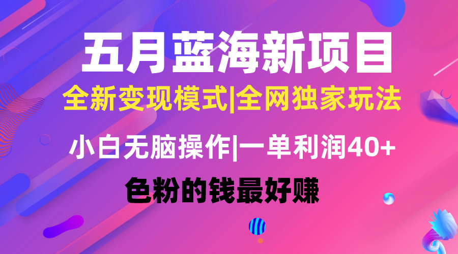 （10477期）五月蓝海项目全新玩法，小白无脑操作，一天几分钟，矩阵操作，月入4万+-飓风网创资源站