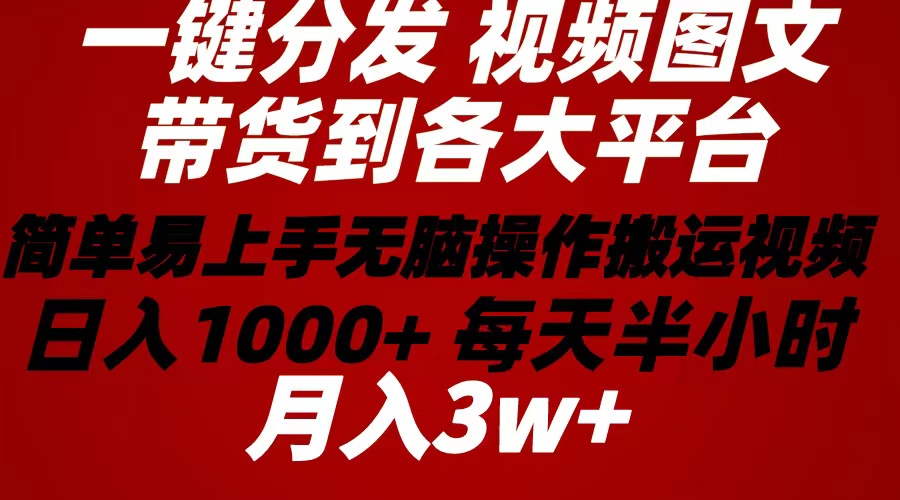 （10667期）2024年 一键分发带货图文视频  简单易上手 无脑赚收益 每天半小时日入1…-飓风网创资源站