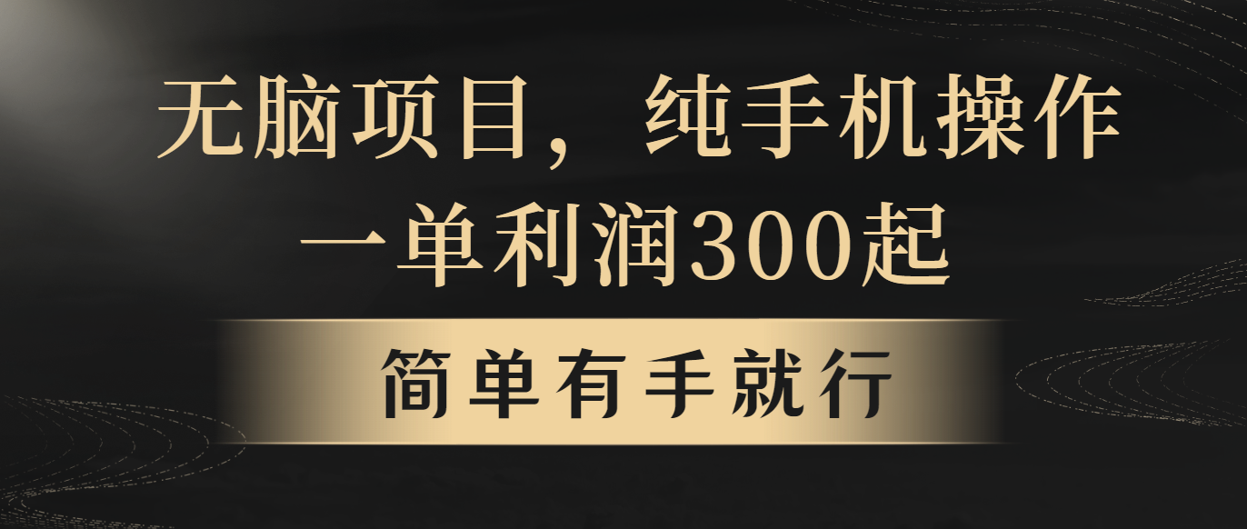 （10699期）无脑项目，一单几百块，轻松月入5w+，看完就能直接操作-飓风网创资源站