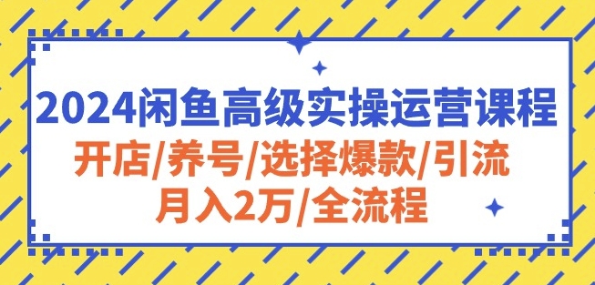 2024闲鱼高级实操运营课程：开店/养号/选择爆款/引流/月入2万/全流程-飓风网创资源站