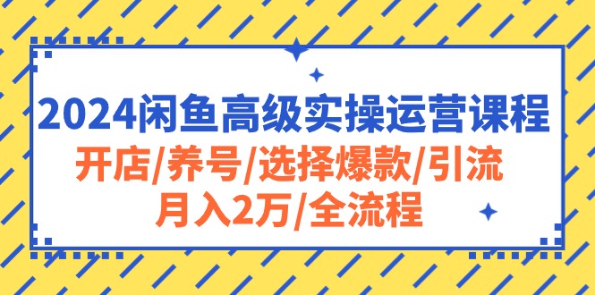 （10711期）2024闲鱼高级实操运营课程：开店/养号/选择爆款/引流/月入2万/全流程-飓风网创资源站