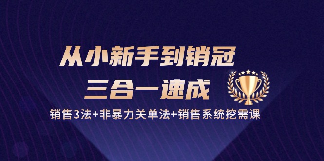 从小新手到销冠三合一速成：销售3法+非暴力关单法+销售系统挖需课 (27节)-飓风网创资源站