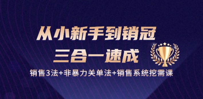 从小新手到销冠 三合一速成：销售3法+非暴力关单法+销售系统挖需课 (27节)-飓风网创资源站