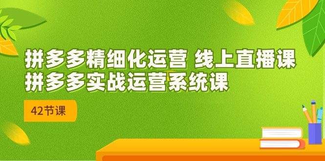 拼多多精细化运营 线上直播课：拼多多实战运营系统课（更新47节）-飓风网创资源站