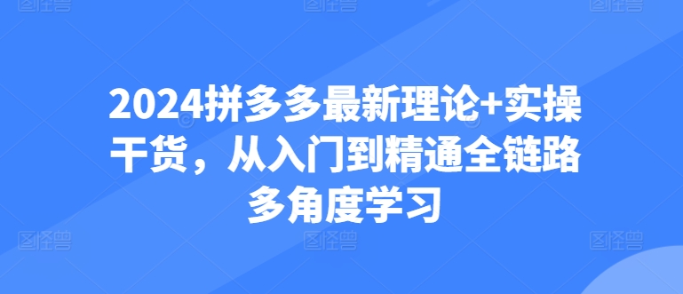 2024拼多多最新理论+实操干货，从入门到精通全链路多角度学习-飓风网创资源站