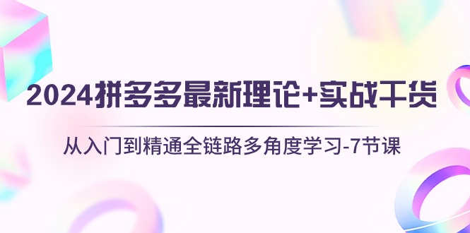 （10816期）2024拼多多 最新理论+实战干货，从入门到精通全链路多角度学习-7节课-飓风网创资源站