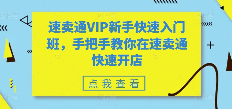 速卖通VIP新手快速入门班，手把手教你在速卖通快速开店-飓风网创资源站