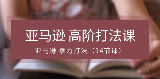 亚马逊高阶打法课，亚马逊暴力打法（14节视频课）-飓风网创资源站