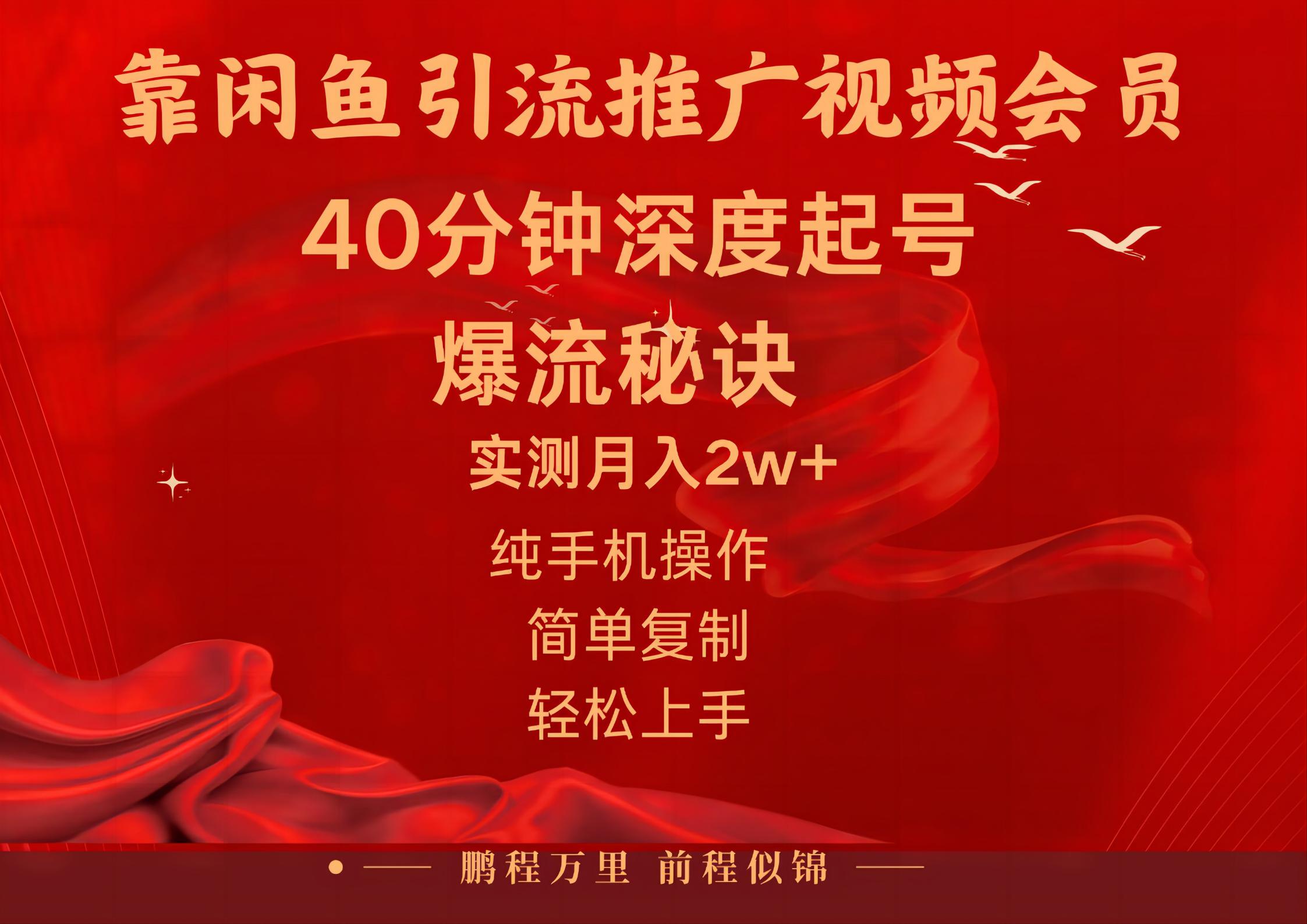 （10895期）闲鱼暴力引流推广视频会员，能做到日入2W+，操作简单-飓风网创资源站