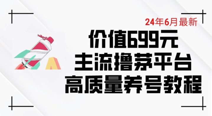 6月最新价值699的主流撸茅台平台精品养号下车攻略-飓风网创资源站