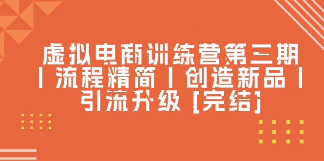 （10960期）虚拟电商训练营第三期丨流程精简丨创造新品丨引流升级 [完结]-飓风网创资源站