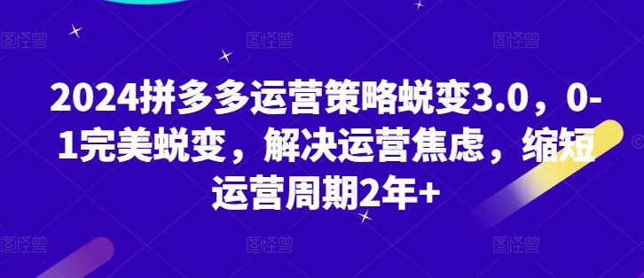 2024拼多多运营策略蜕变3.0，0-1完美蜕变，解决运营焦虑，缩短运营周期2年+-飓风网创资源站