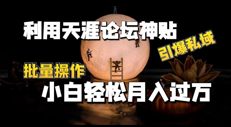 利用天涯论坛神贴，引爆私域，批量操作，小白轻松月入过w【揭秘】-飓风网创资源站