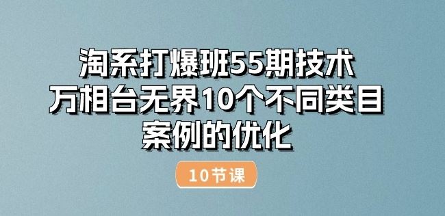 淘系打爆班55期技术：万相台无界10个不同类目案例的优化(10节)-飓风网创资源站