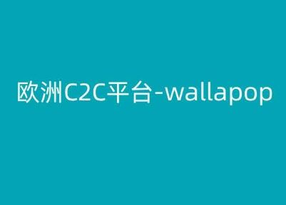 欧洲C2C平台-wallapop-kim跨境电商教程-飓风网创资源站