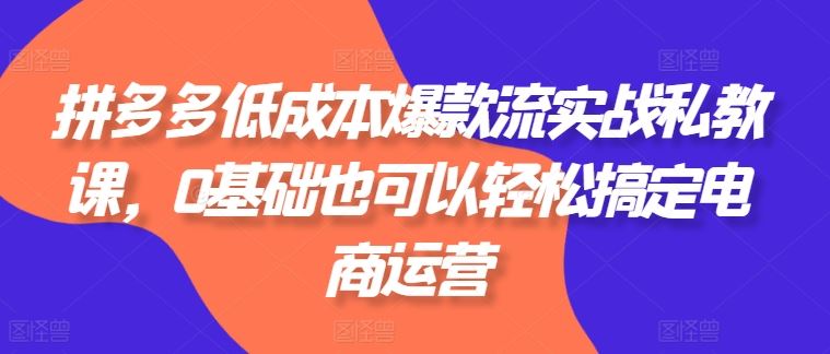 拼多多低成本爆款流实战私教课，0基础也可以轻松搞定电商运营-飓风网创资源站