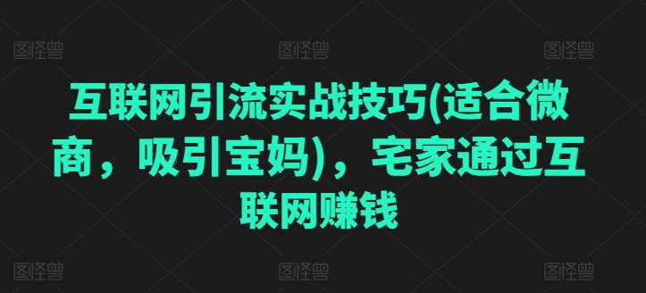 互联网引流实战技巧(适合微商，吸引宝妈)，宅家通过互联网赚钱-飓风网创资源站