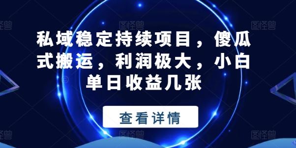 私域稳定持续项目，傻瓜式搬运，利润极大，小白单日收益几张【揭秘】-飓风网创资源站