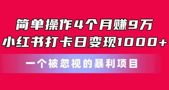 简单操作4个月赚9w，小红书打卡日变现1k，一个被忽视的暴力项目【揭秘】-飓风网创资源站