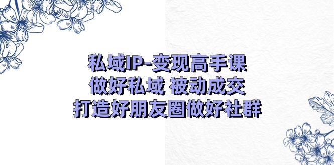 私域IP变现高手课：做好私域被动成交，打造好朋友圈做好社群（18节）-飓风网创资源站