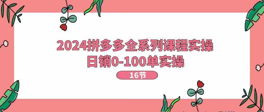 2024拼多多全系列课程实操，日销0-100单实操【16节课】-飓风网创资源站