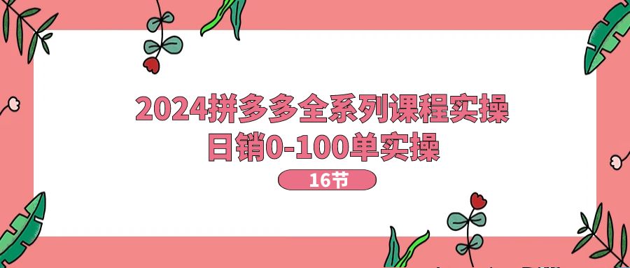 （11222期）2024拼多多全系列课程实操，日销0-100单实操【16节课】-飓风网创资源站