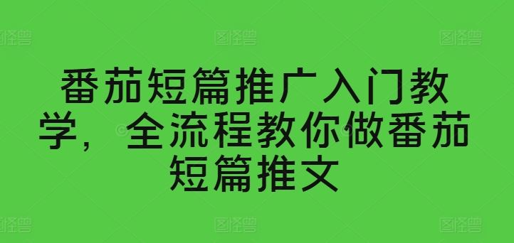 番茄短篇推广入门教学，全流程教你做番茄短篇推文-飓风网创资源站