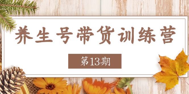 养生号带货训练营【第13期】收益更稳定的玩法，让你带货收益爆炸-飓风网创资源站