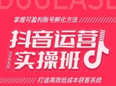 抖音运营实操班，掌握可盈利账号孵化方法，打造高效低成本获客系统-飓风网创资源站