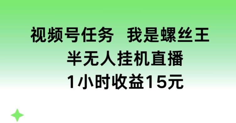 视频号任务，我是螺丝王， 半无人挂机1小时收益15元【揭秘】-飓风网创资源站