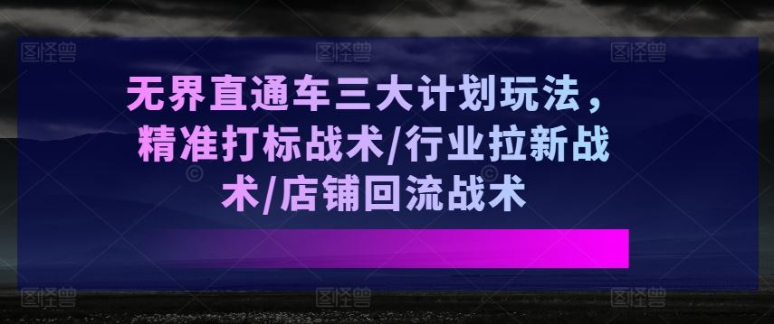 无界直通车三大计划玩法，精准打标战术/行业拉新战术/店铺回流战术-飓风网创资源站