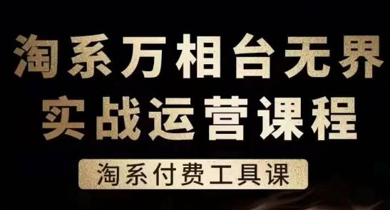 淘系万相台无界实战运营课，淘系付费工具课-飓风网创资源站