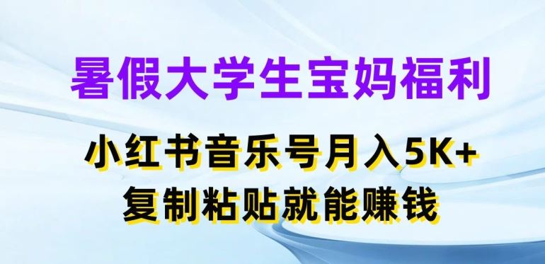 暑假大学生宝妈福利，小红书音乐号月入5000+，复制粘贴就能赚钱【揭秘】-飓风网创资源站