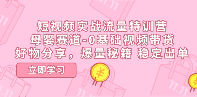 短视频实战流量特训营，母婴赛道-0基础带货，好物分享，爆量秘籍 稳定出单-飓风网创资源站