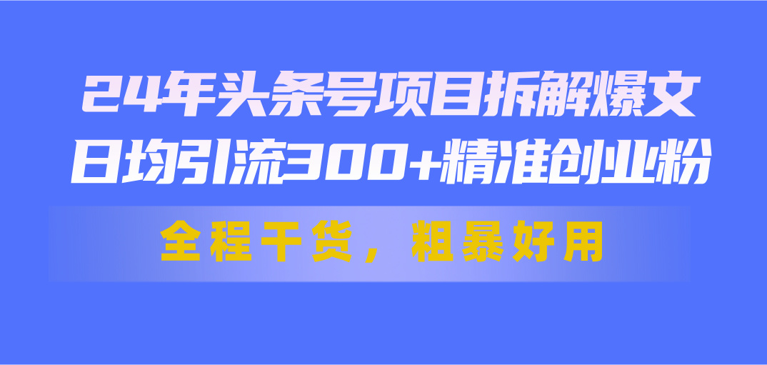 （11397期）24年头条号项目拆解爆文，日均引流300+精准创业粉，全程干货，粗暴好用-飓风网创资源站