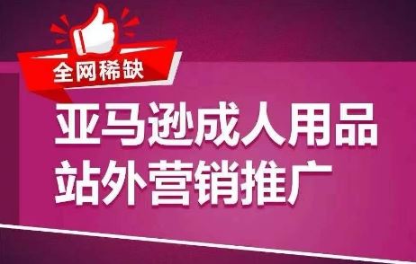 全网稀缺！亚马逊成人用品站外营销推广，​教你引爆站外流量，开启爆单模式-飓风网创资源站