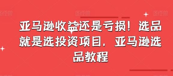 亚马逊收益还是亏损！选品就是选投资项目，亚马逊选品教程-飓风网创资源站