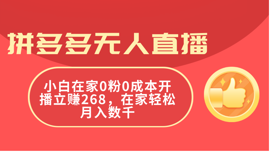 （11521期）拼多多无人直播，小白在家0粉0成本开播立赚268，在家轻松月入数千-飓风网创资源站