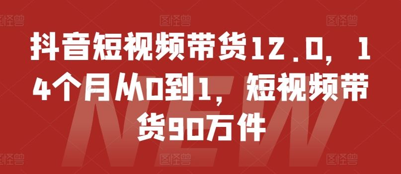 抖音短视频带货12.0，14个月从0到1，短视频带货90万件-飓风网创资源站