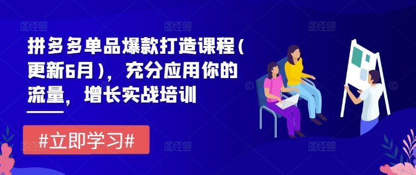 拼多多单品爆款打造课程(更新6月)，充分应用你的流量，增长实战培训-飓风网创资源站