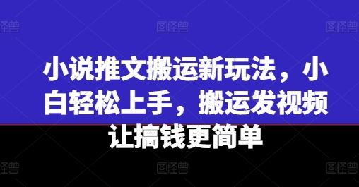 小说推文搬运新玩法，小白轻松上手，搬运发视频让搞钱更简单-飓风网创资源站