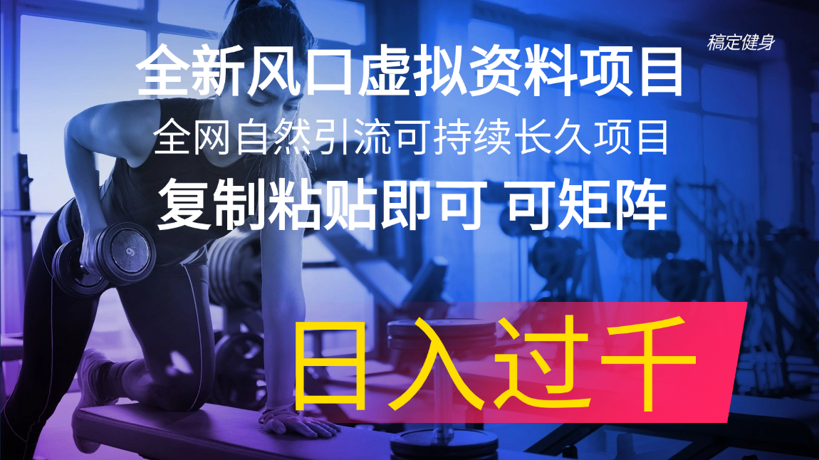 （11587期）全新风口虚拟资料项目 全网自然引流可持续长久项目 复制粘贴即可可矩阵…-飓风网创资源站