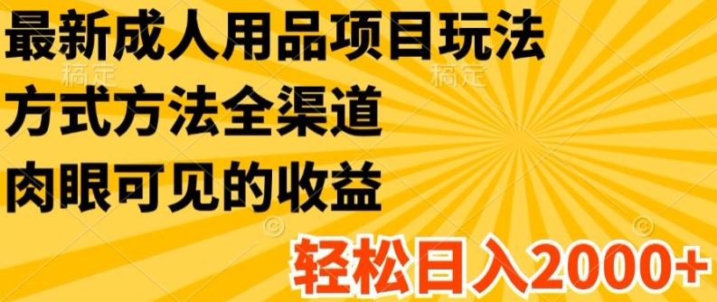 最新成人用品项目玩法，方式方法全渠道，轻松日入2K+【揭秘】-飓风网创资源站