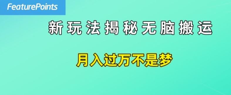 简单操作，每天50美元收入，搬运就是赚钱的秘诀【揭秘】-飓风网创资源站