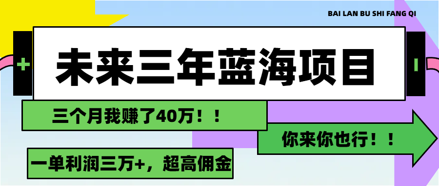 （11716期）未来三年，蓝海赛道，月入3万+-飓风网创资源站