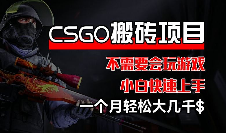 CSGO 装备搬砖项目，操作简单，不需要会玩游戏，小白也能快速上手，一个月轻松大几千【揭秘】-飓风网创资源站